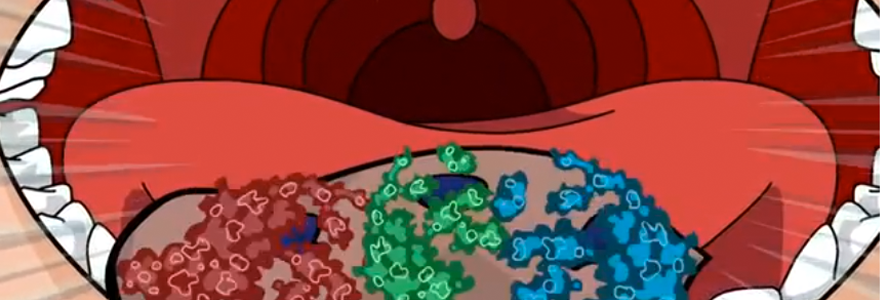 eating food loaded with bacteria